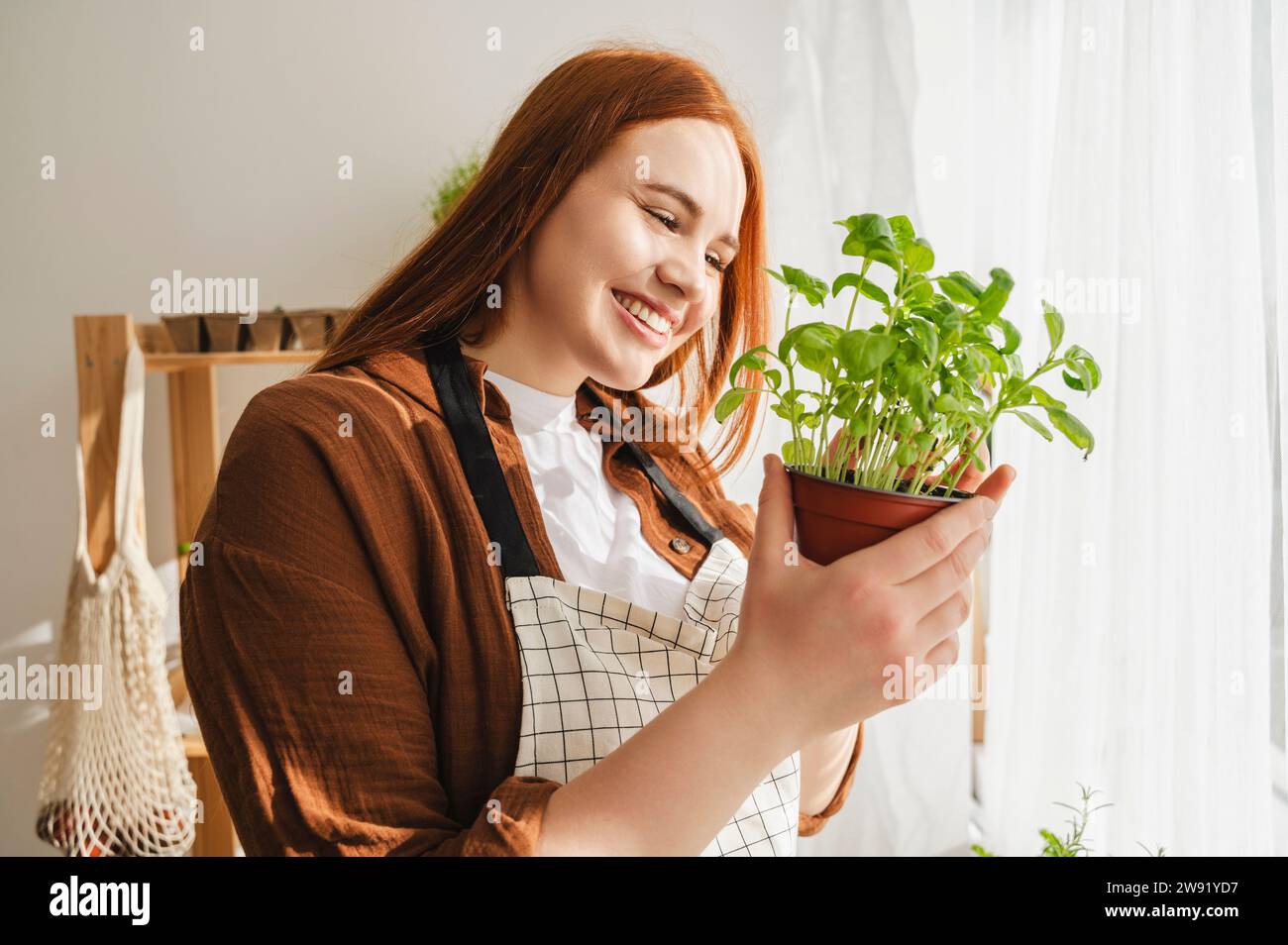 Botanico sorridente che esamina la pianta in vaso a casa Foto Stock