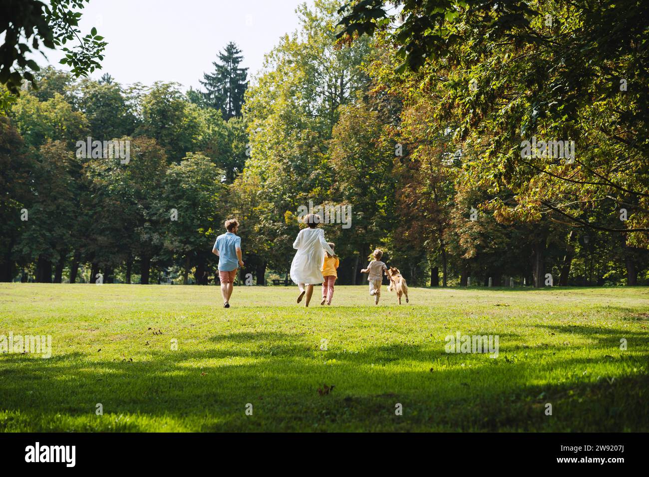 Divertimento per tutta la famiglia con cani che corrono sull'erba al parco Foto Stock