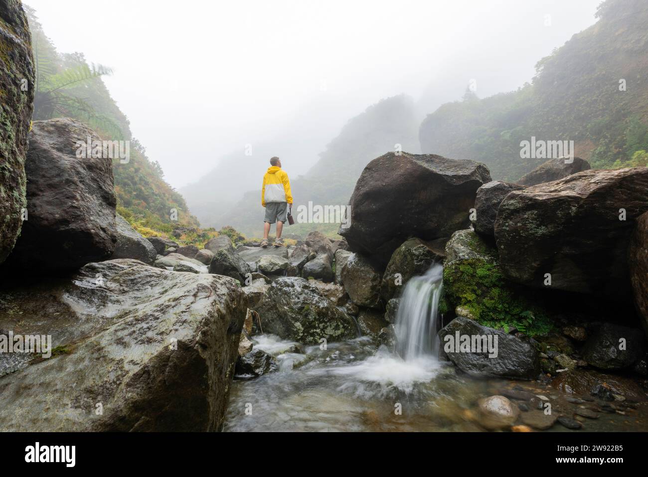 Uomo in piedi sulle rocce vicino alle montagne nella foresta pluviale Foto Stock