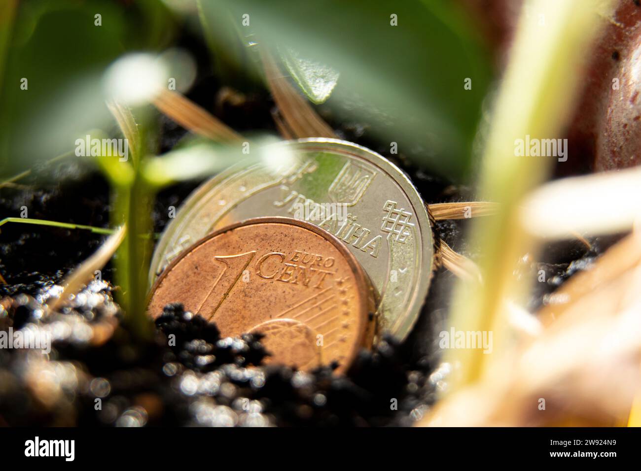 Una moneta da un centesimo e due hryvnia ucraine si trovano nel terreno accanto alla pianta verde, alla crescita e all'economia, al denaro e alla finanza Foto Stock