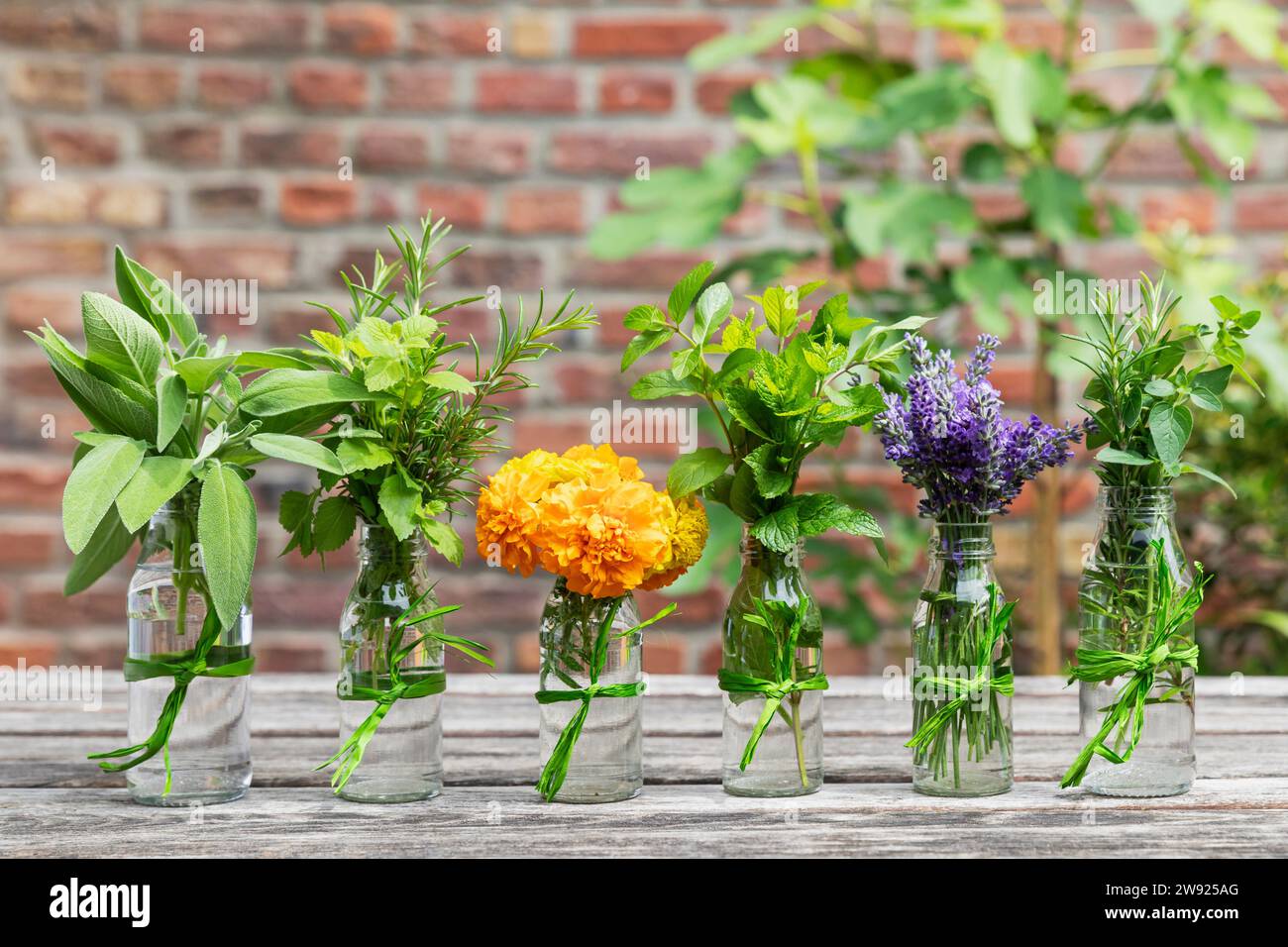 Erbe e fiori commestibili coltivati nel giardino del balcone Foto Stock