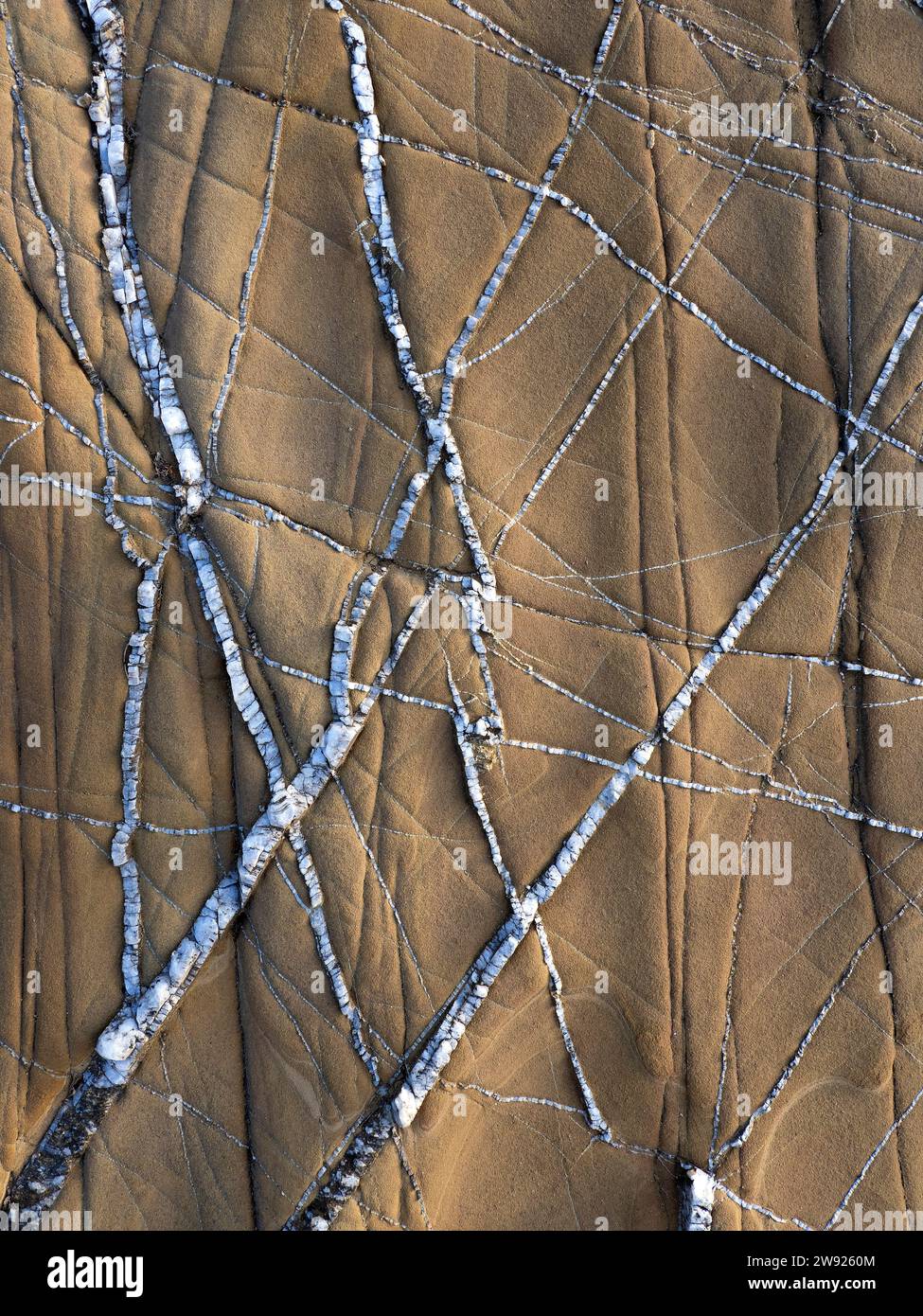 Portogallo, Algarve, Liesegang suona a Praia da Amoreira Foto Stock