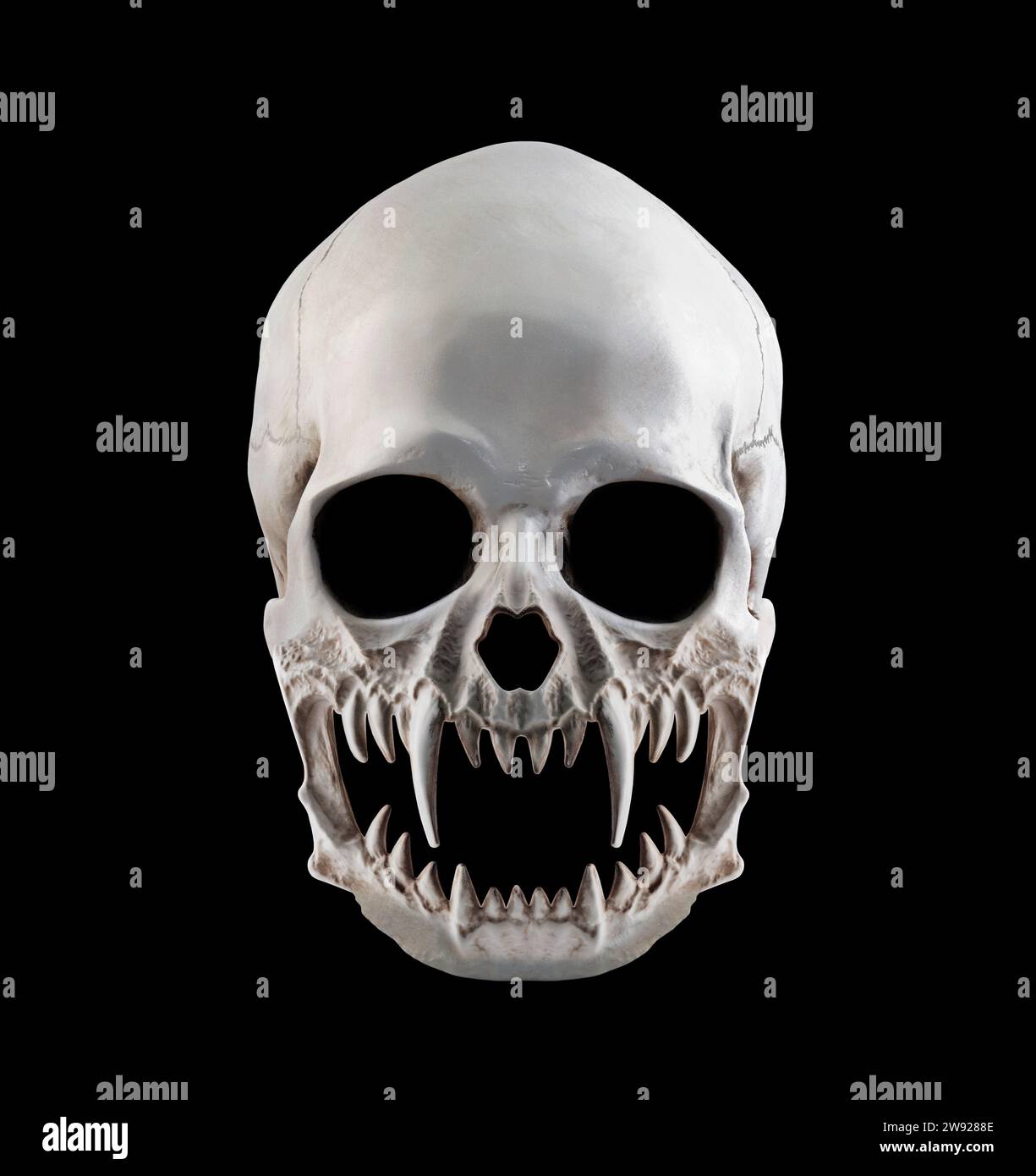 Cranio umano con zanne isolate su sfondo nero Foto Stock
