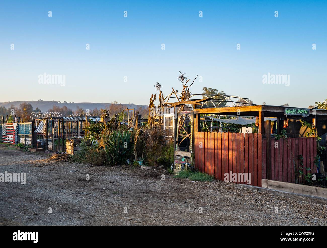 Orto comunitario nel quartiere vicino al confine tra Stati Uniti e Messico. California, USA. Foto Stock