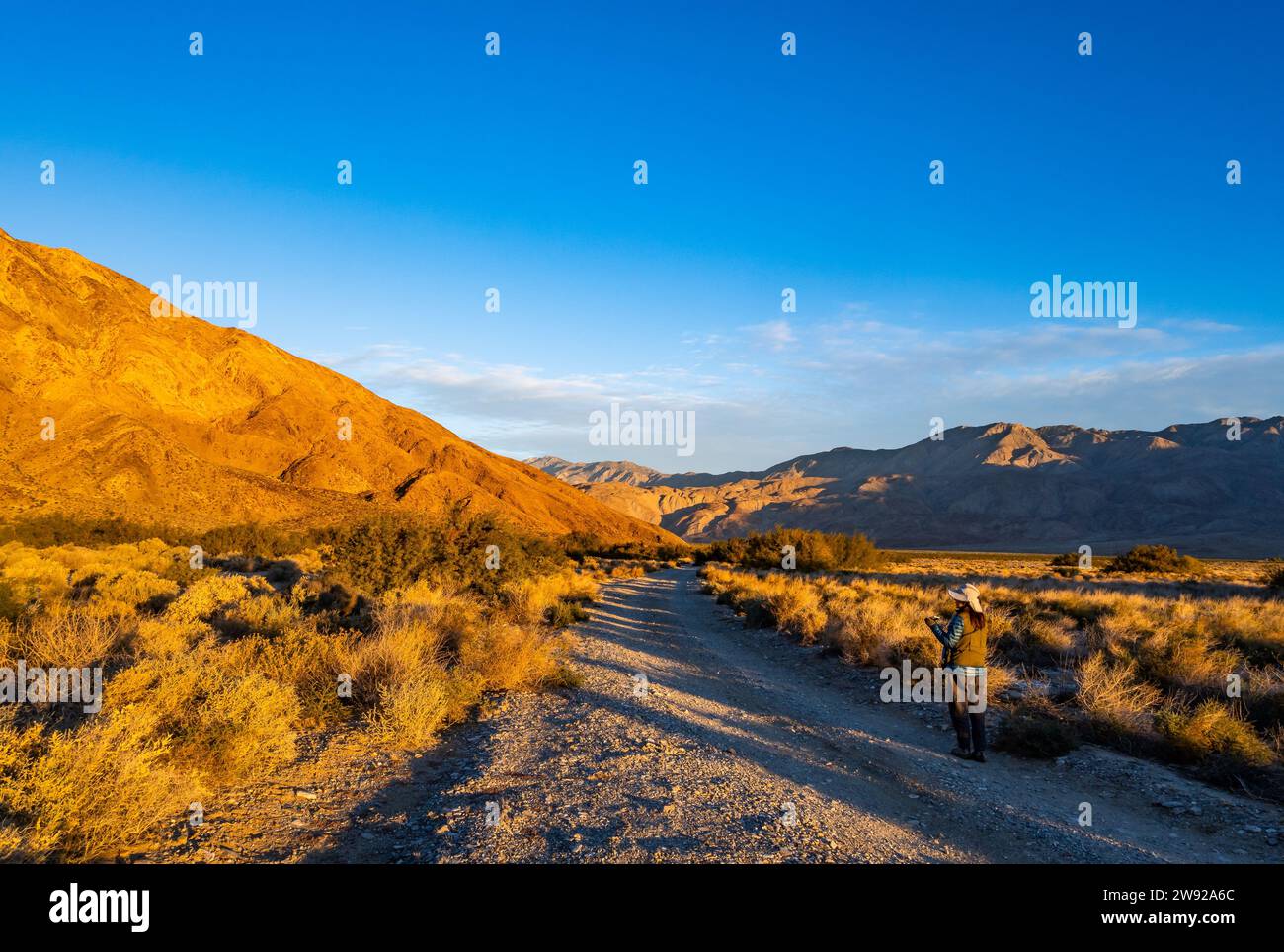 Una strada sterrata nel deserto della California meridionale, USA. Foto Stock