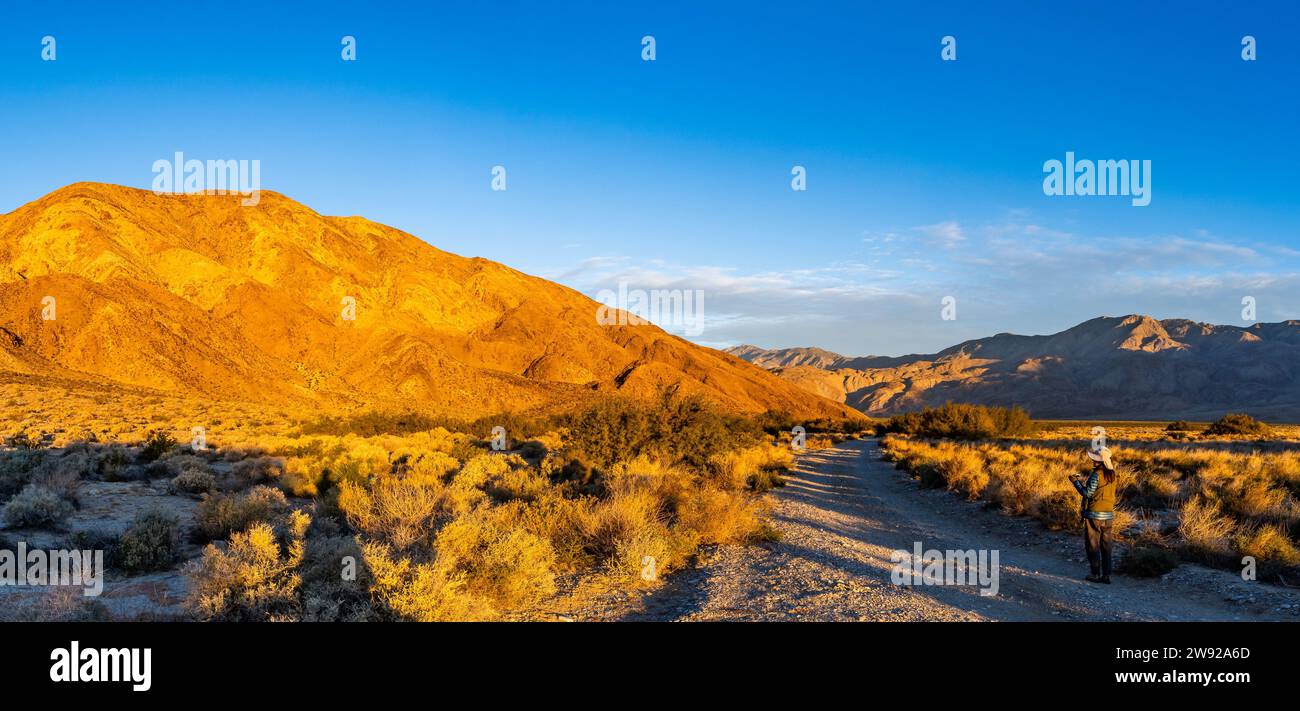 Una strada sterrata nel deserto della California meridionale, USA. Foto Stock