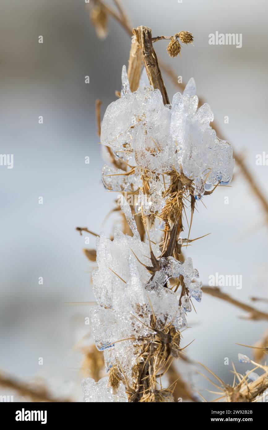 Sculture create dal ghiaccio, forme curiose create dalla natura Foto Stock