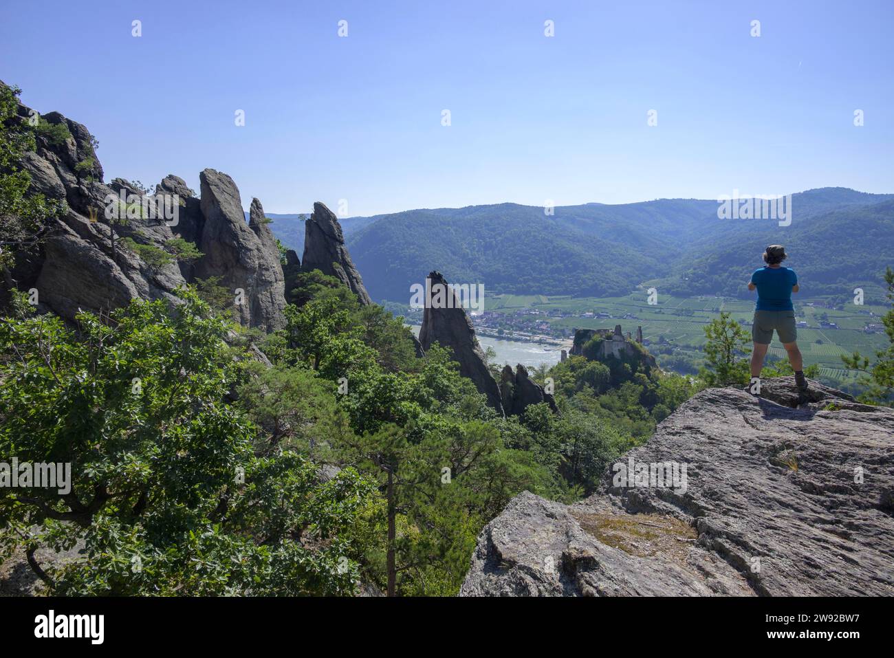 Giardino roccioso sopra le rovine, Duernstein, bassa Austria, Austria Foto Stock