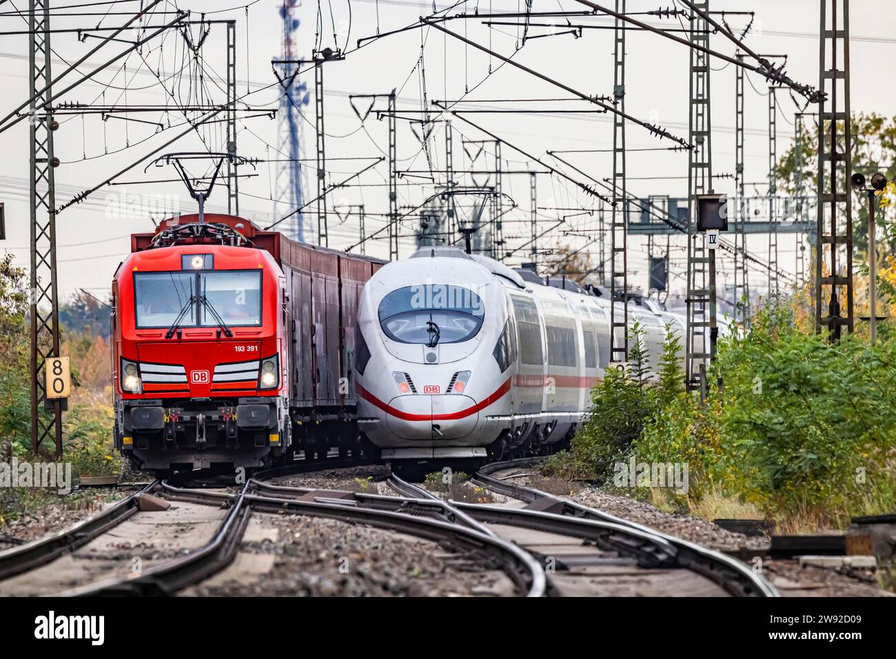 Treno PER IL GHIACCIO e le merci con Siemens Vectron BR 193 si incontrano su binario aperto sulla Schusterbahn, una tangenziale della stazione principale di Stoccarda, Baden-Wuerttemberg Foto Stock