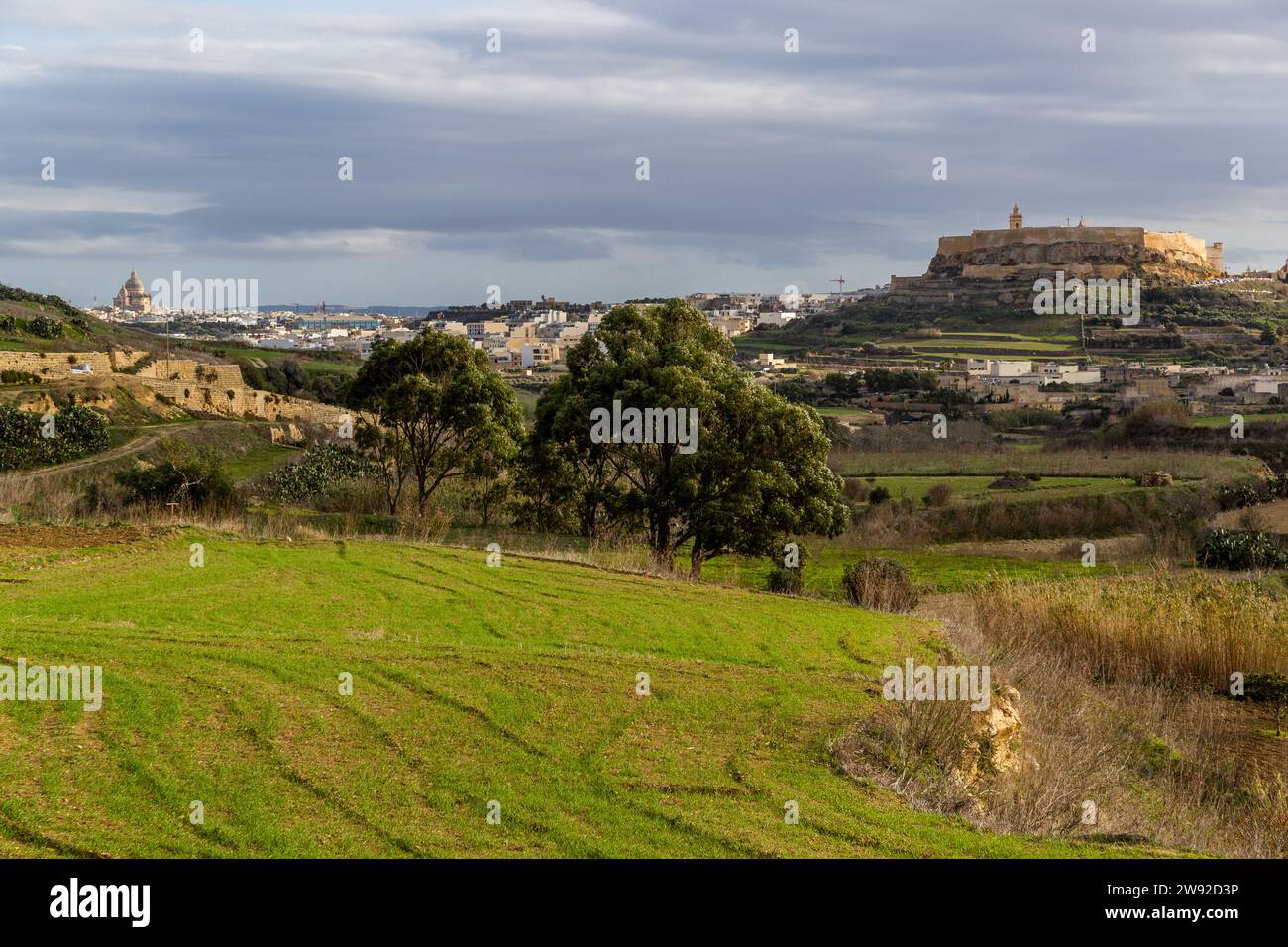 La Cittadella di Victoria, rifugio storico di Gozo sulla cima della collina, si erge a destra attraverso la pianura, mentre la cupola della Rotonda di Xewkija appare all’orizzonte a sinistra – entrambi i monumenti sono visibili da Għasri a Gozo, Malta. La Rotonda, chiesa parrocchiale cattolica di San Giovanni Battista, ha la terza cupola di chiesa non sostenuta più alta del mondo con i suoi 75 metri, con un diametro interno di 27 metri; è stata costruita tra il 1952 e il 1978 secondo i progetti dell’architetto Ġużè Damato. Foto Stock