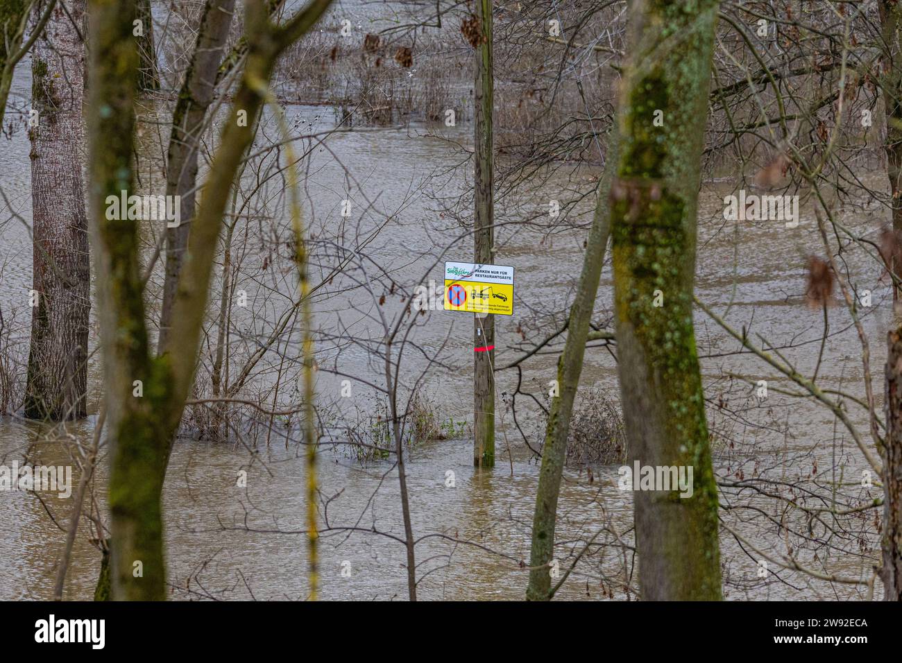 Hochwasser mit Pegel 390 cm in der Sieg in Höhe der Siegfähre, nahe der Siegmündung in den Rhein bei in Troisdorf bei Bonn 23.12.2023 Troisdorf NRW Deutschland *** alluvione con livello dell'acqua 390 cm nel fiume Sieg presso il traghetto Sieg, vicino alla foce del Sieg nel Reno a Troisdorf vicino a Bonn 23 12 2023 Troisdorf NRW Germania Foto Stock