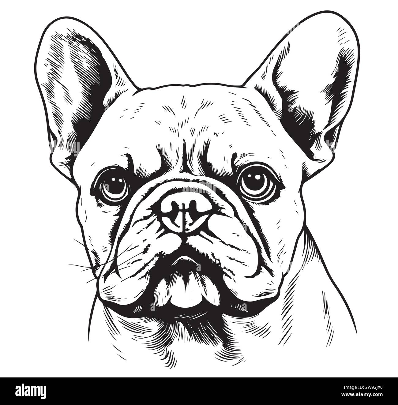 Testa Bulldog francese, illustrazione vettoriale, colore nero, immagine vettoriale illustrazione vettoriale Illustrazione Vettoriale