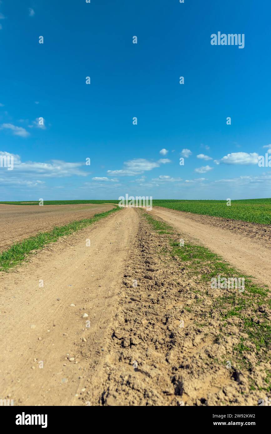 una strada sotto forma di pista usurata sul campo dopo il movimento di un gran numero di veicoli, una strada per veicoli senza asfalto Foto Stock