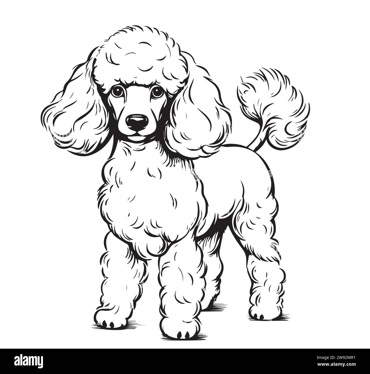 Grazioso giocattolo ritratto di cane a barboncino schizzo disegnato a mano animali domestici illustrazione vettoriale. Illustrazione Vettoriale