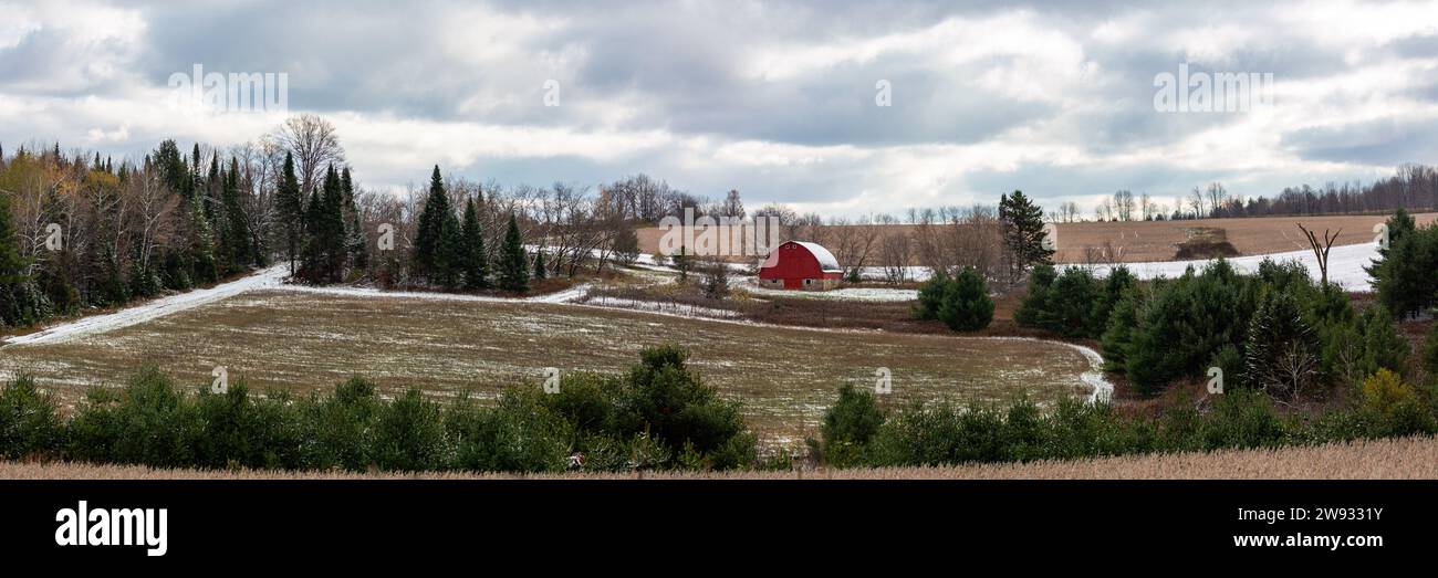 Granaio rosso del Wisconsin in un campo con neve e alberi, panorama Foto Stock