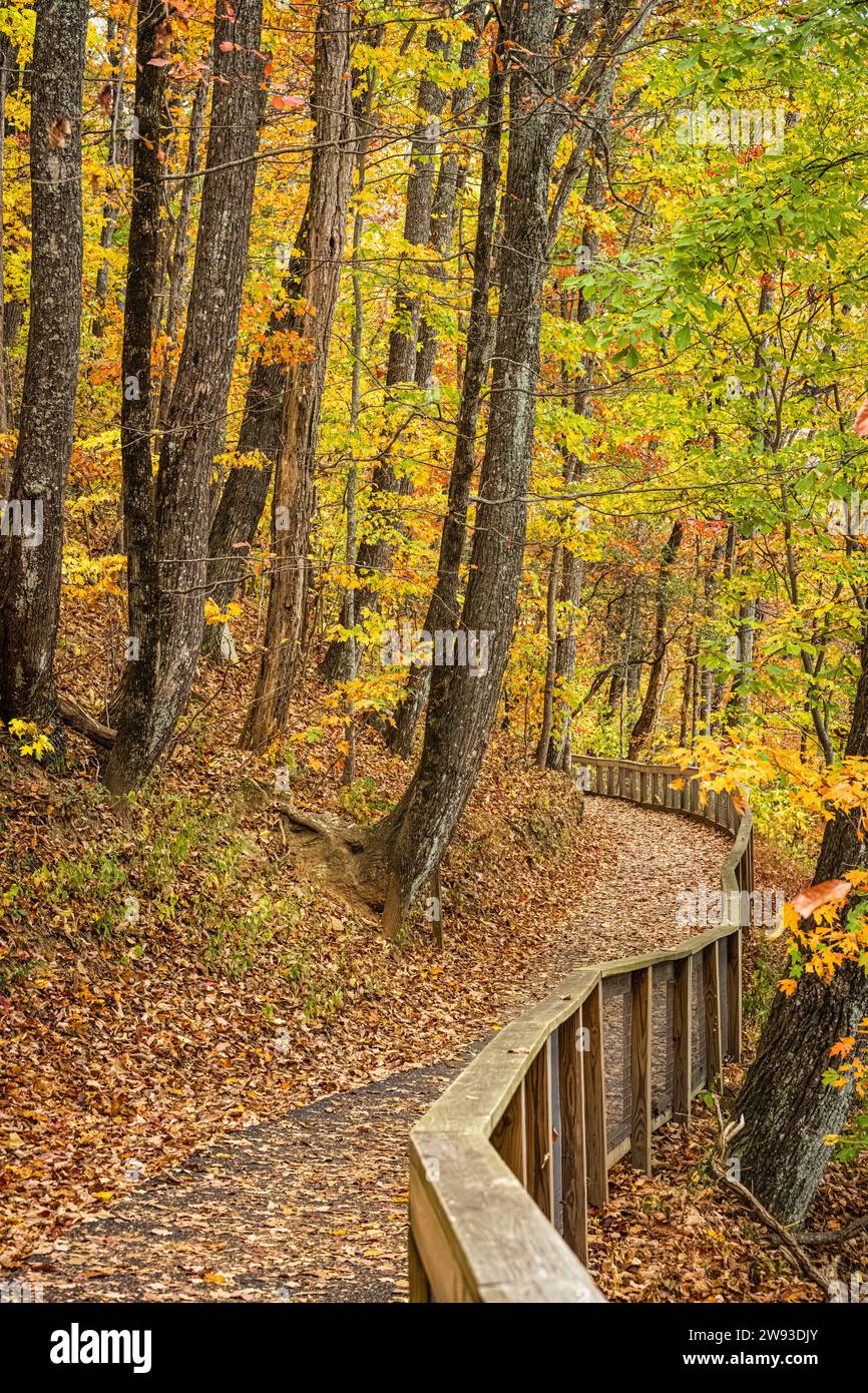 Sentiero di accesso alle cascate con colorate foglie delle cascate Amicalola Falls a Dawsonville, Georgia. (USA) Foto Stock