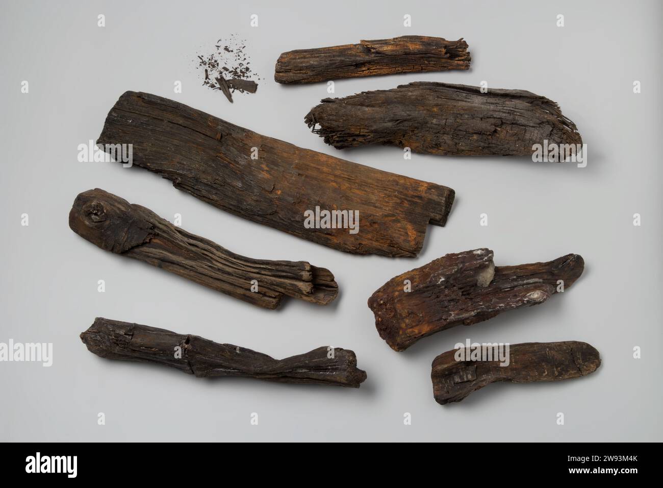 Legna da ardere dal naufragio delle Indie Orientali t Vliegend Hart, 1700 - 1735 legna da ardere. Con sostanza cerosa di conservazione. legno (materiale vegetale) Foto Stock