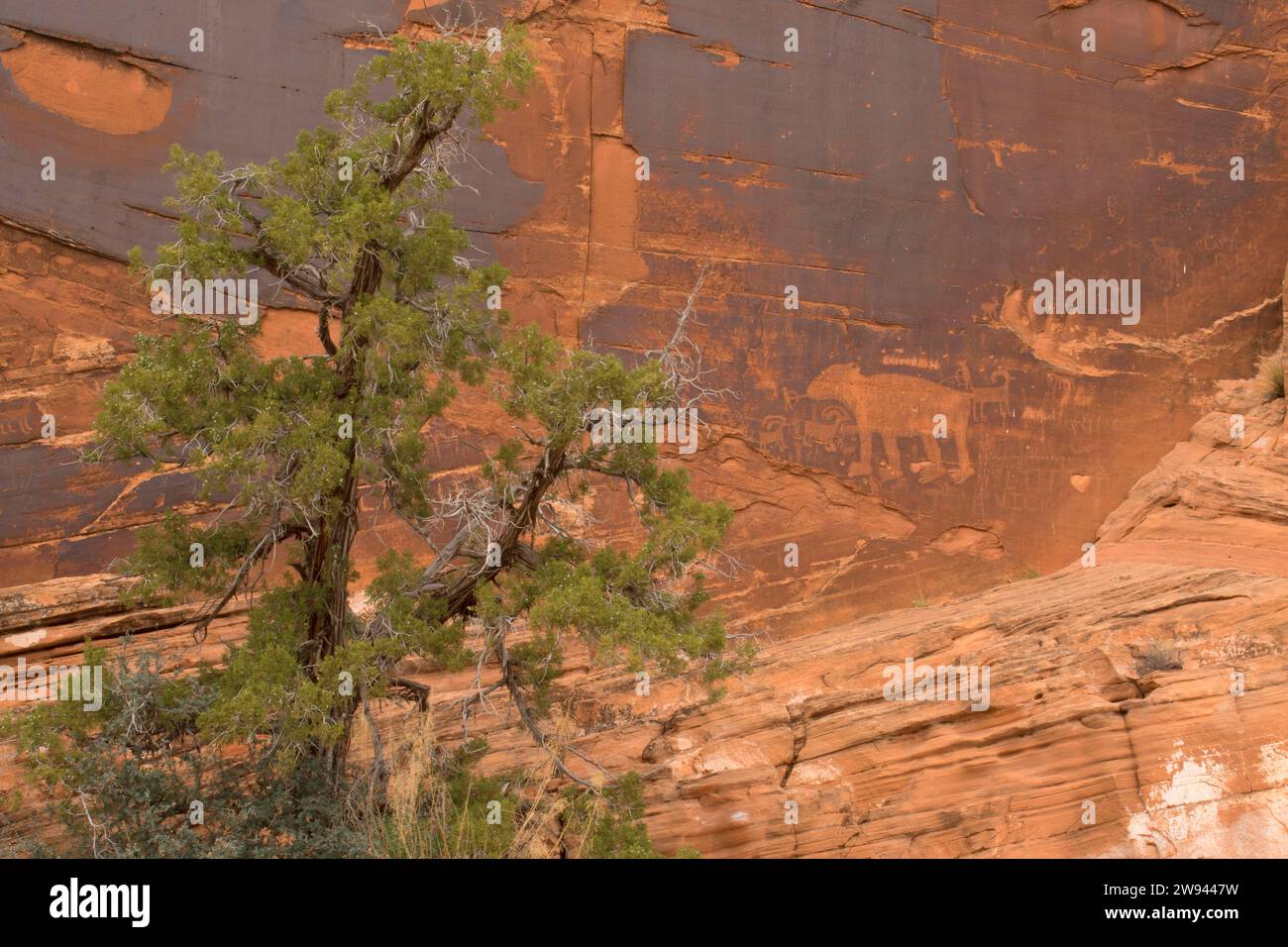 Incisioni rupestri a Utah Highway 279 Rock Art Site, Potash-Lower Colorado River Scenic Byway, Grand County, Utah Foto Stock