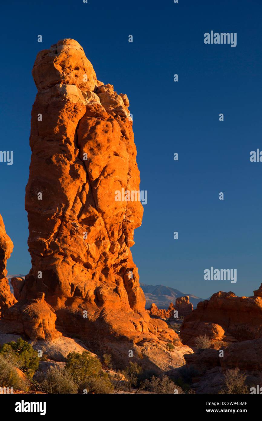 Garden of Eden, Arches National Park, Utah Foto Stock