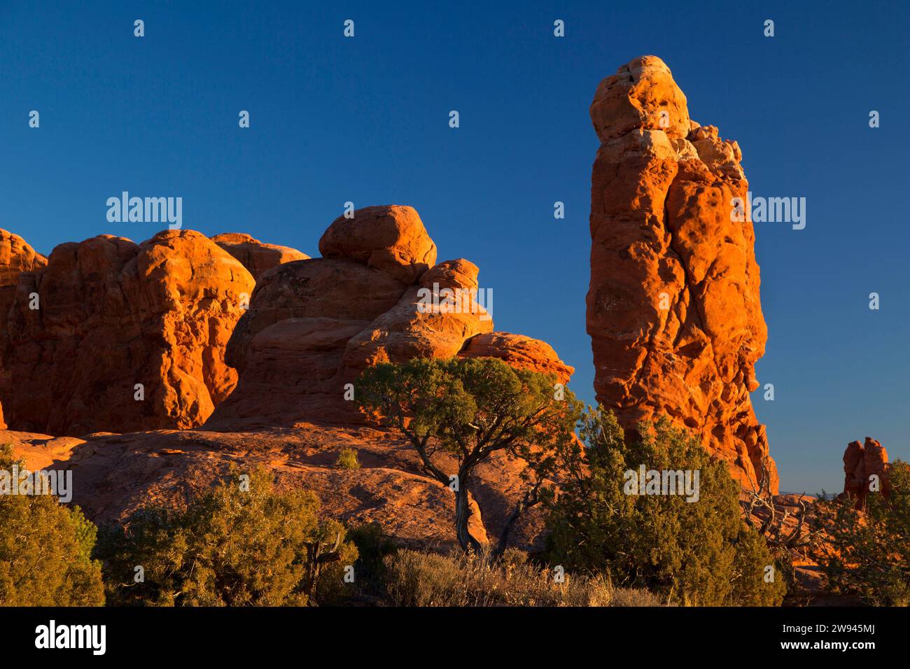 Garden of Eden, Arches National Park, Utah Foto Stock