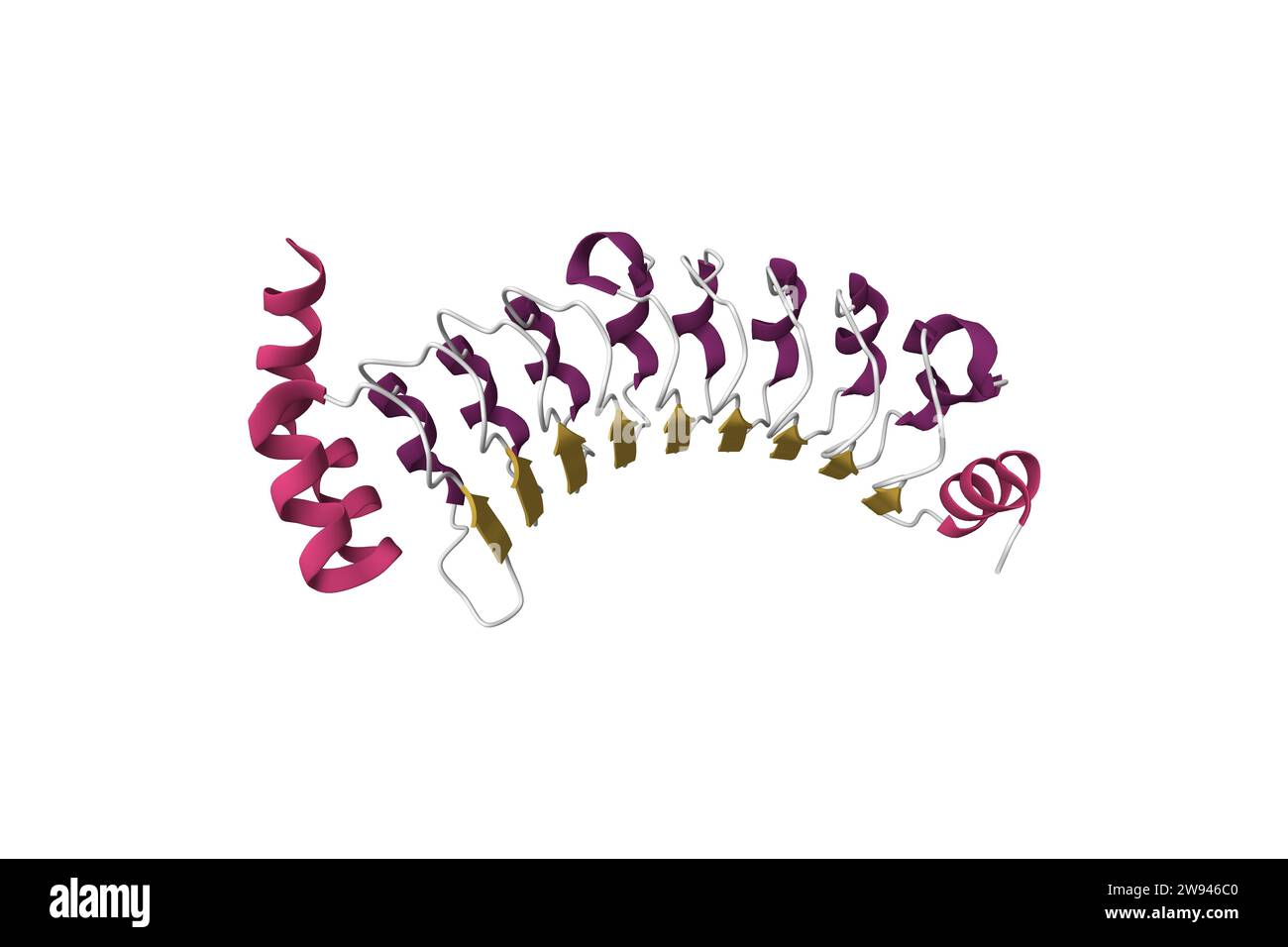 Struttura cristallina del soppressore Ras-1. Modello cartoon 3D, schema di colori della struttura secondaria, PDB 7lt8, sfondo bianco Foto Stock