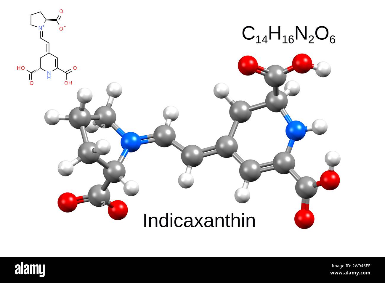 Formula chimica, formula strutturale e modello 3D di indicaxantina, pigmento vegetale, sfondo bianco Foto Stock