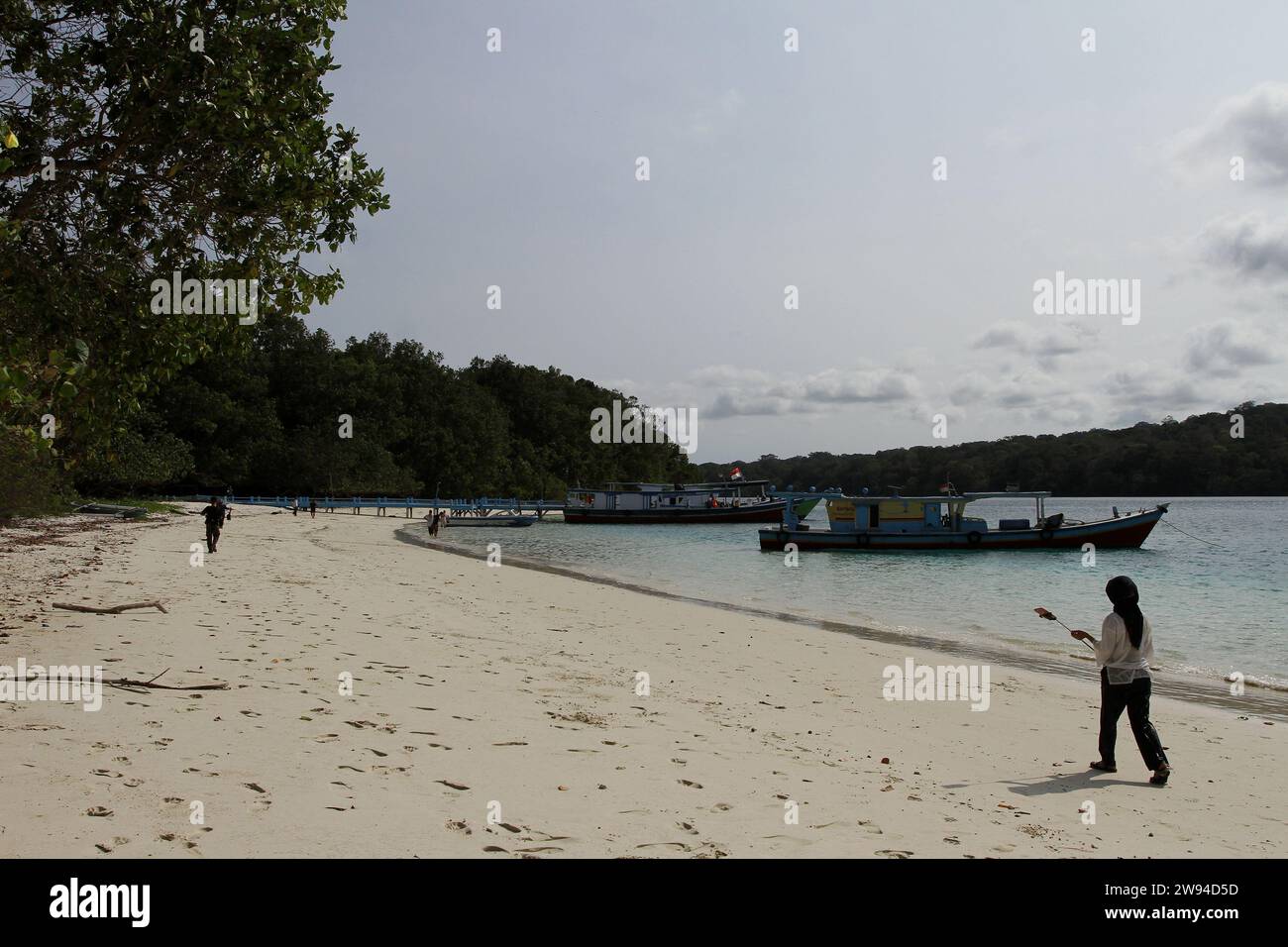 Pandeglang, Banten, Indonesia. 23 dicembre 2023. La gente visita l'isola di Peucang, che è un sito patrimonio dell'umanità dell'UNESCO nel Parco Nazionale di Ujung Kulon, nel distretto di Sumur. (Immagine di credito: © Angga Budhiyanto/ZUMA Press Wire) SOLO USO EDITORIALE! Non per USO commerciale! Foto Stock