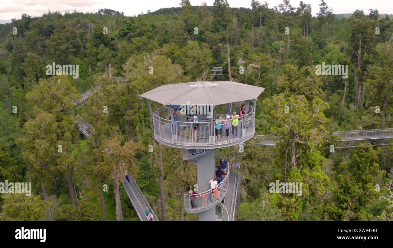 West Coast Tree Top Walk e Tower Zipline Activity nella West Coast nuova Zelanda Foto Stock