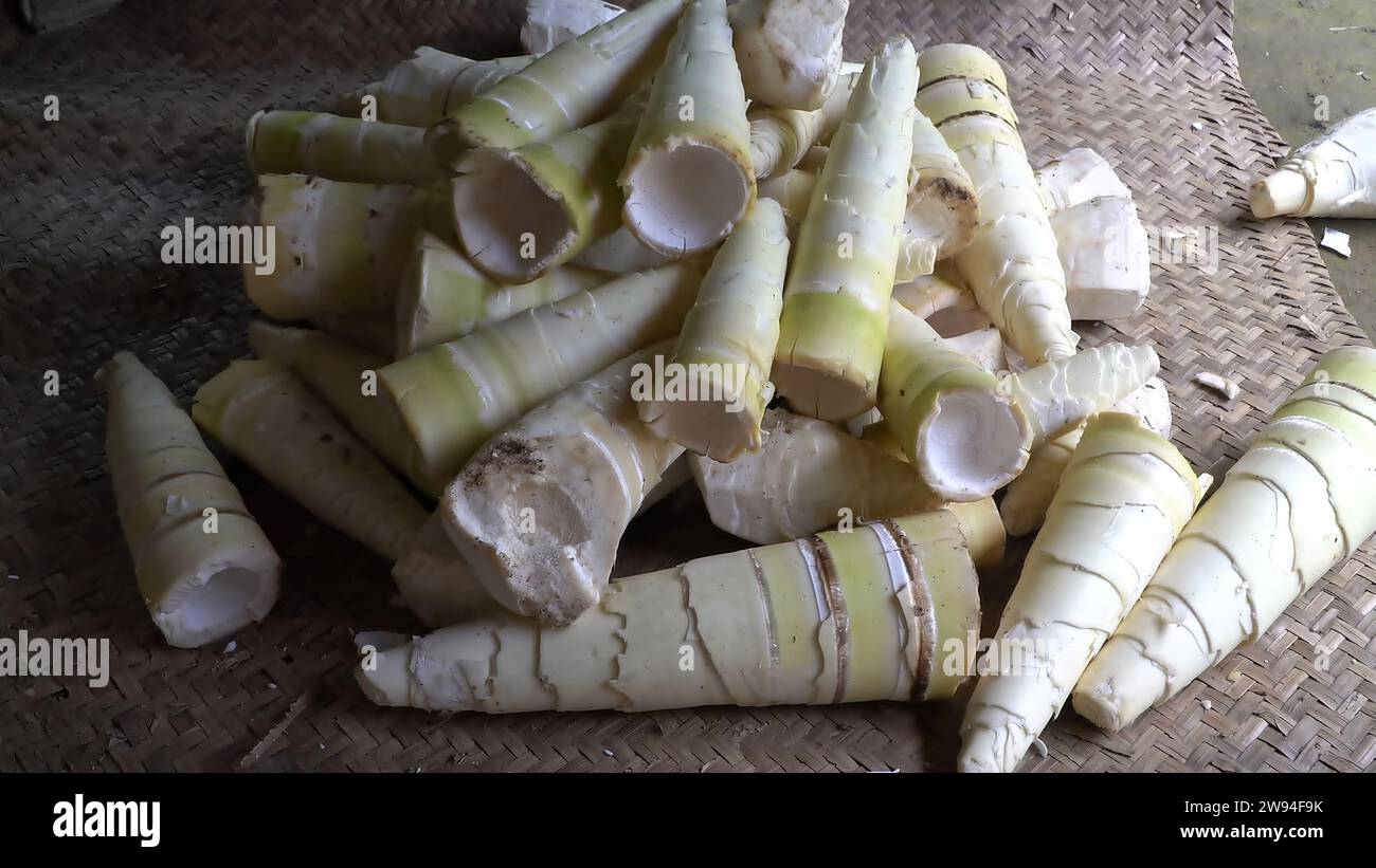 I germogli di bambù sbucciati sono ora preparati e pronti per la spedizione, garantendo che la loro qualità fresca e incontaminata raggiunga la loro destinazione Foto Stock