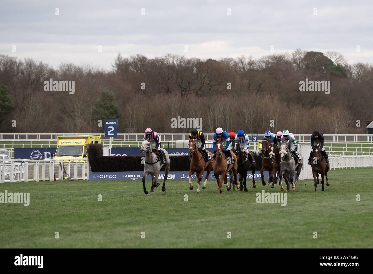 Ascot, Berkshire, 23 dicembre 2023. I piloti dell'ippodromo di Ascot sostengono il concorso Schools Photography Competition Novices' handicap hurdle Race il secondo giorno del weekend Howden Christmas Racing all'ippodromo di Ascot. Proprietario sulle galoppe - Top Cloud. Allenatore Robbie Llewellyn, Swindon. Breeder Wood Farm Stud Credito: Maureen McLean/Alamy Live News Foto Stock