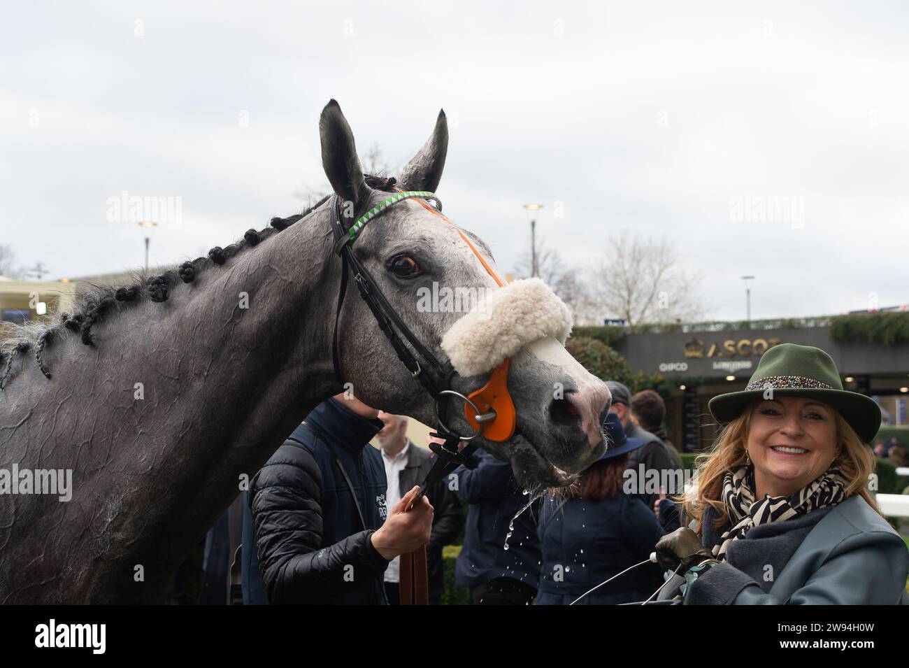 Ascot, Berkshire, 23 dicembre 2023. Horse Top Cloud (n. 9) guidato dal fantino Liam Harrison vincitore dell’Ascot Racecourse sostiene la Schools Photography Competition Novices’ handicap hurdle Race nel secondo giorno dell’Howden Christmas Racing Weekend all’Ascot Racecourse. Proprietario sulle galoppe - Top Cloud. Allenatore Robbie Llewellyn, Swindon. Breeder Wood Farm Stud Credito: Maureen McLean/Alamy Live News Foto Stock