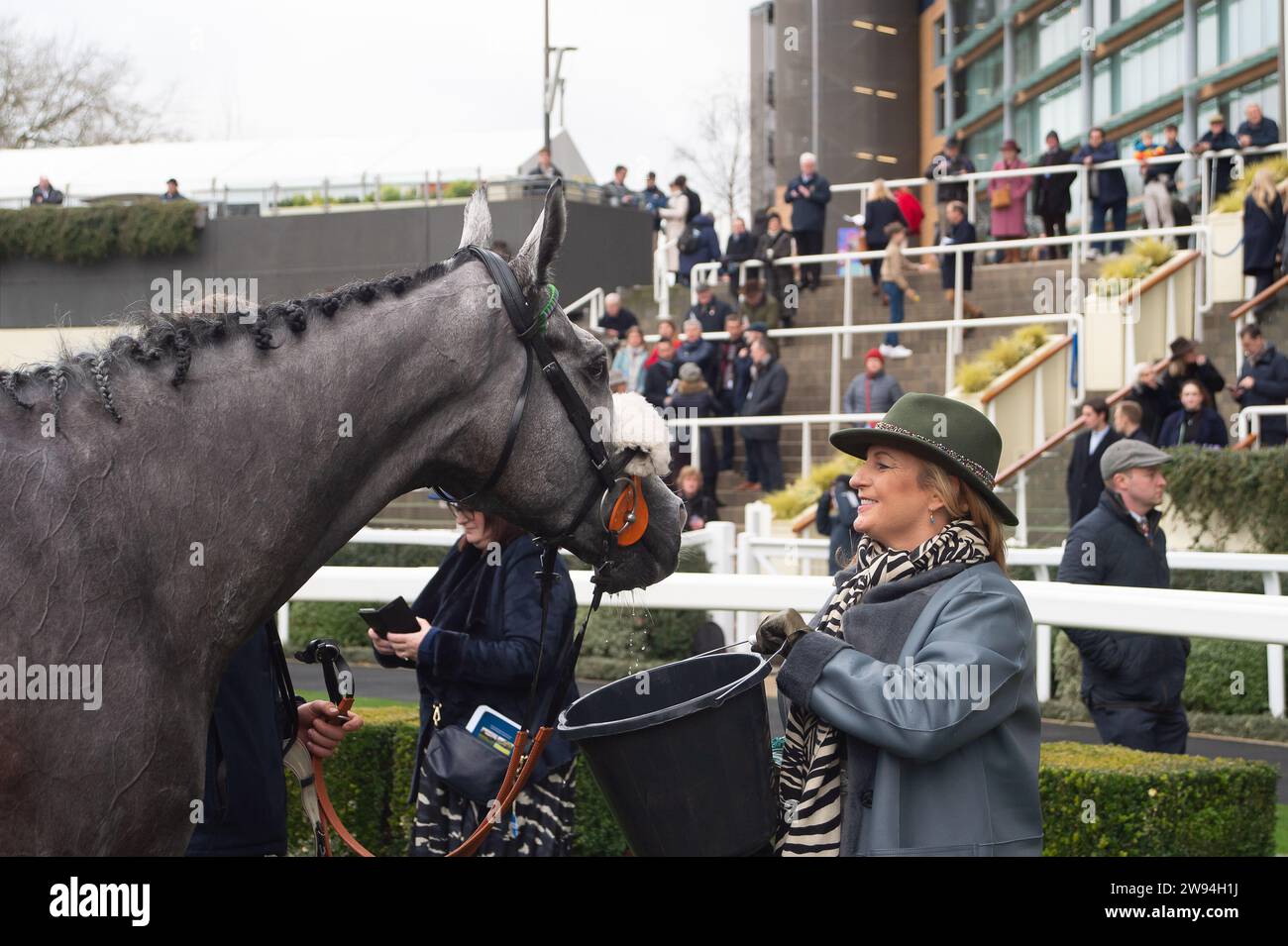 Ascot, Berkshire, 23 dicembre 2023. Horse Top Cloud (n. 9) guidato dal fantino Liam Harrison vincitore dell’Ascot Racecourse sostiene la Schools Photography Competition Novices’ handicap hurdle Race nel secondo giorno dell’Howden Christmas Racing Weekend all’Ascot Racecourse. Proprietario sulle galoppe - Top Cloud. Allenatore Robbie Llewellyn, Swindon. Breeder Wood Farm Stud Credito: Maureen McLean/Alamy Live News Foto Stock