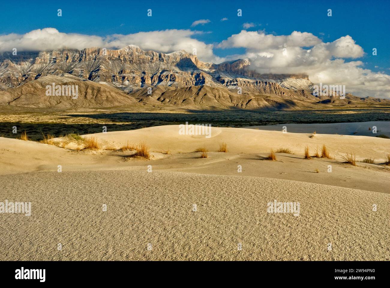 Sale Basin Dunes di fronte alla scarpata occidentale delle montagne innevate di Guadalupe al tramonto, deserto del Chihuahuan, Guadalupe Mtns Natl Park, Texas, USA Foto Stock