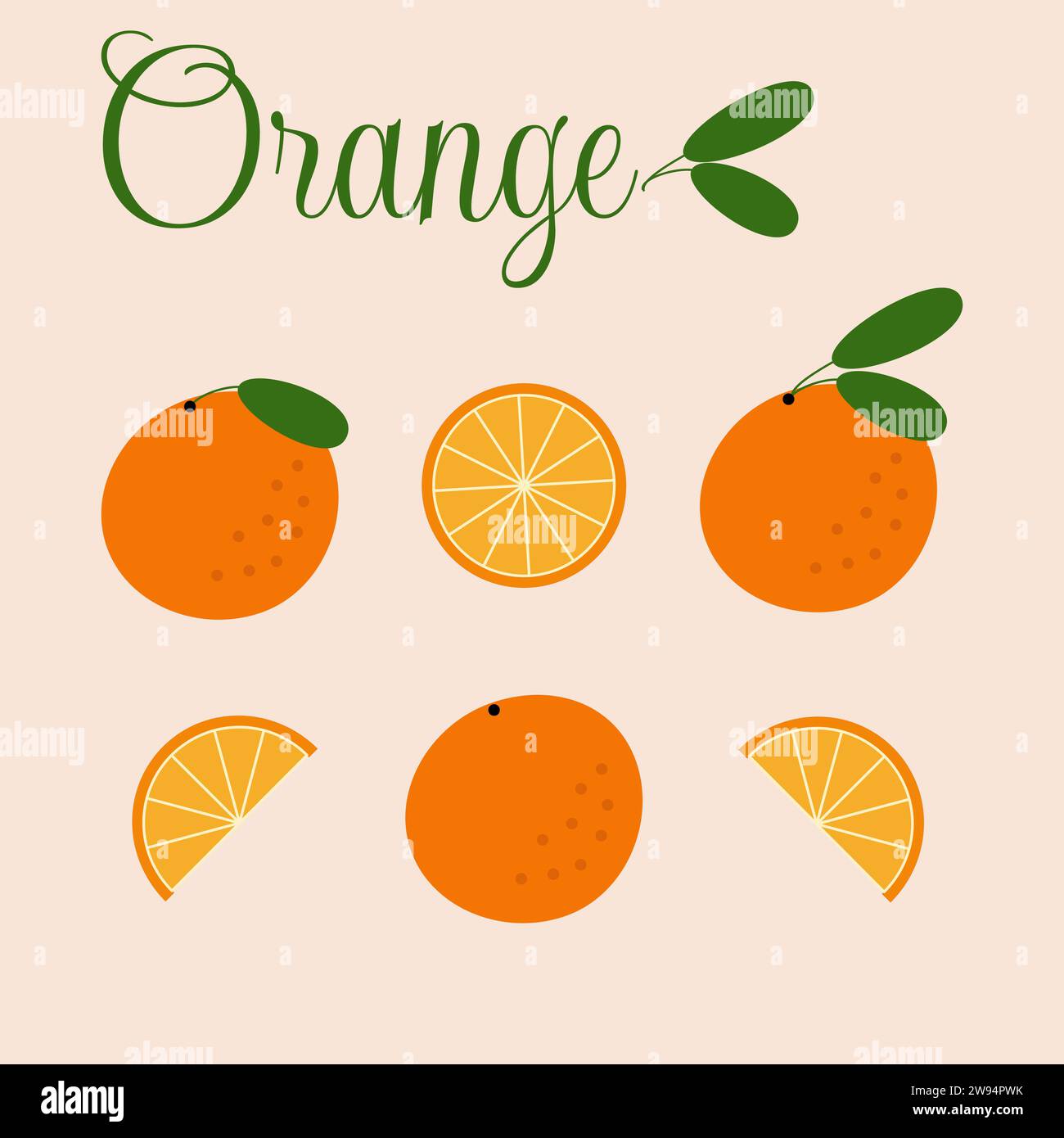 Illustrazione vettoriale. Collezione arancione in stile piatto Illustrazione Vettoriale