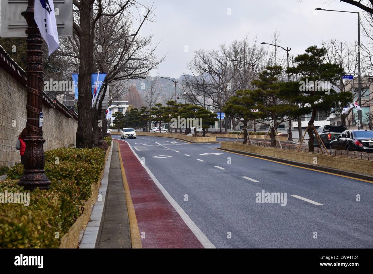 Una strada a due corsie con pista ciclabile separata dal traffico in entrata nel mezzo da una linea di alberi bonsai imperiali, intorno al palazzo Gyeongbokgung Foto Stock