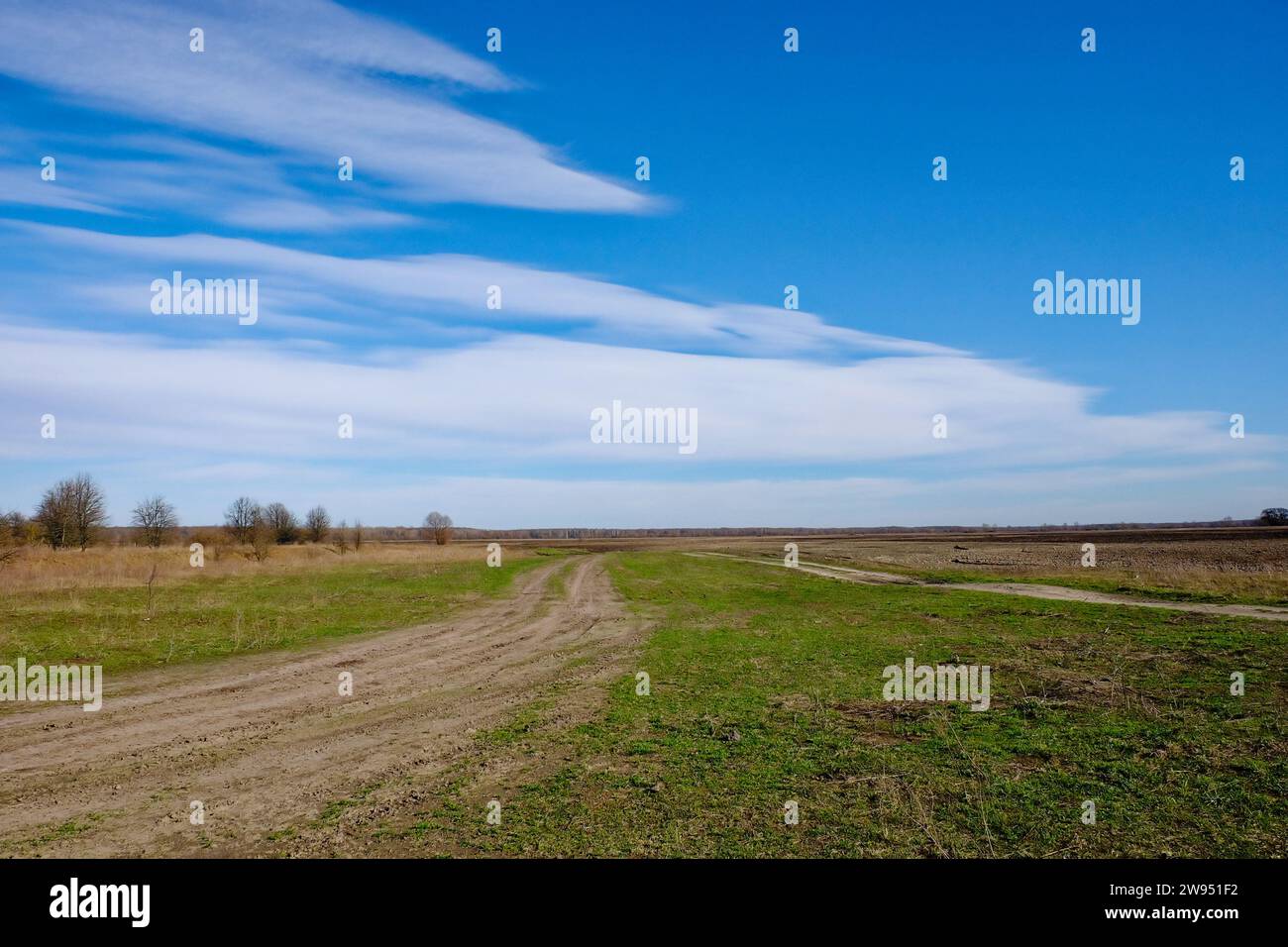Una vista panoramica di una strada sterrata in un campo con un cielo blu. Foto Stock