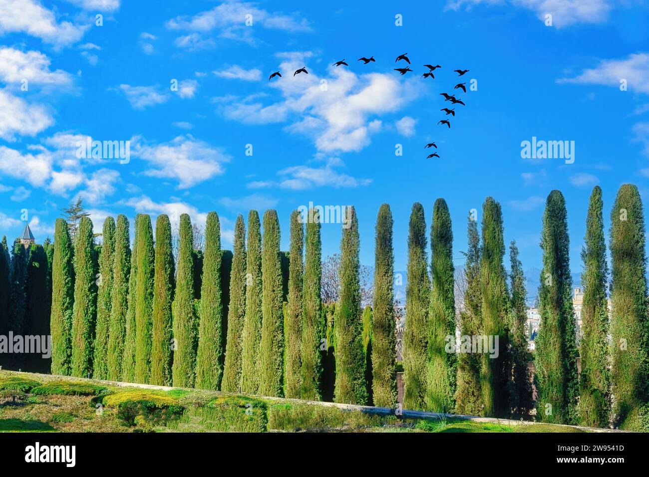 Palazzo dell'Alhambra e complesso della Fortezza, Granada, Spagna Foto Stock