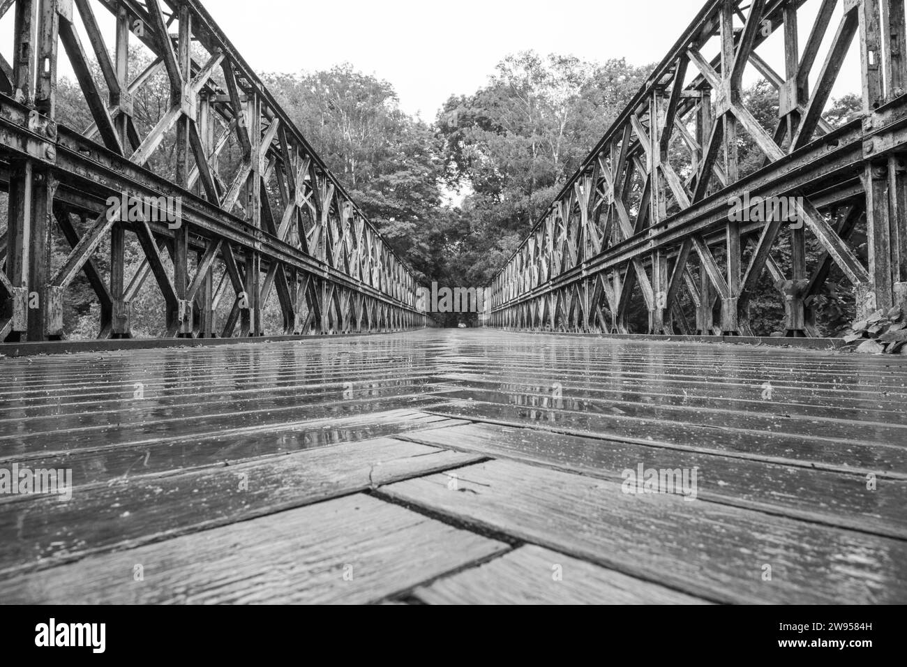 Vecchio ponte a traliccio sul fiume Sazava. Immagine in bianco e nero. Foto Stock