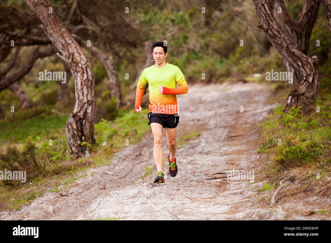 Un uomo maturo che corre al parco Foto Stock