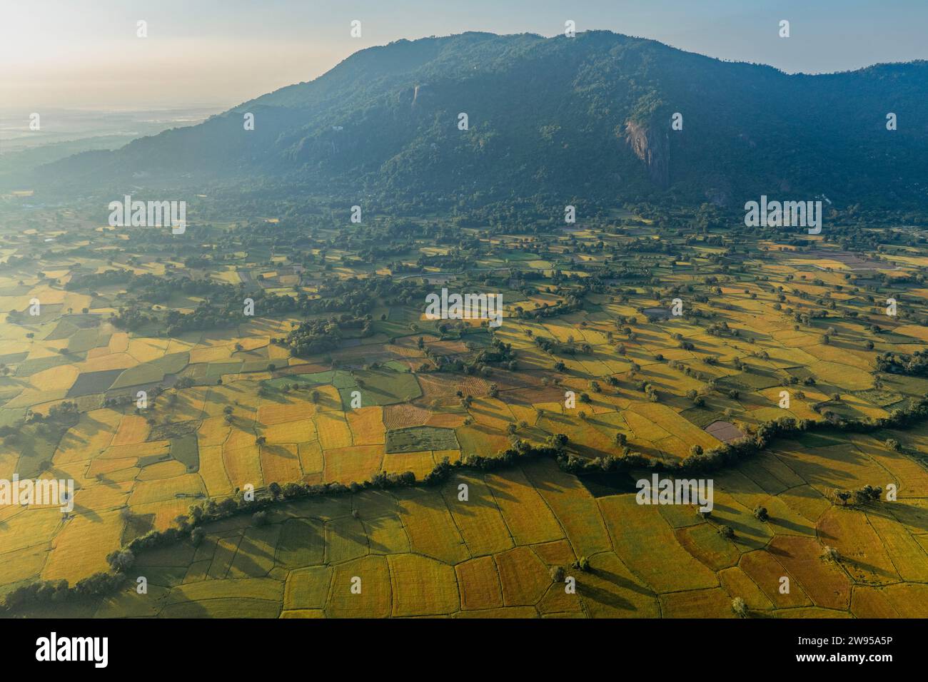10 dicembre 2023: Vista panoramica dei campi di Ta Pa, provincia di Giang, Vietnam durante la stagione del riso maturo Foto Stock