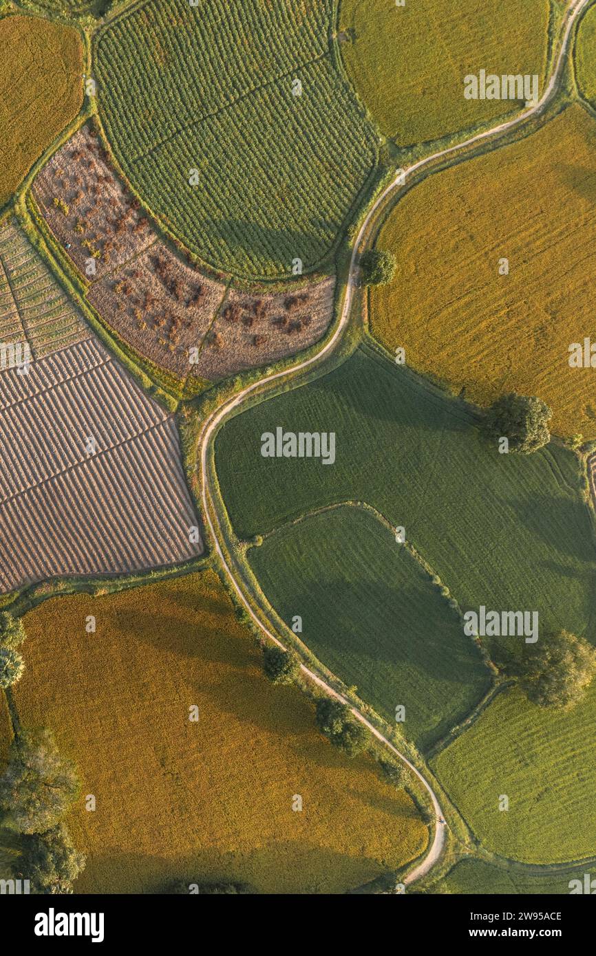 10 dicembre 2023: Vista panoramica dei campi di Ta Pa, provincia di Giang, Vietnam durante la stagione del riso maturo Foto Stock