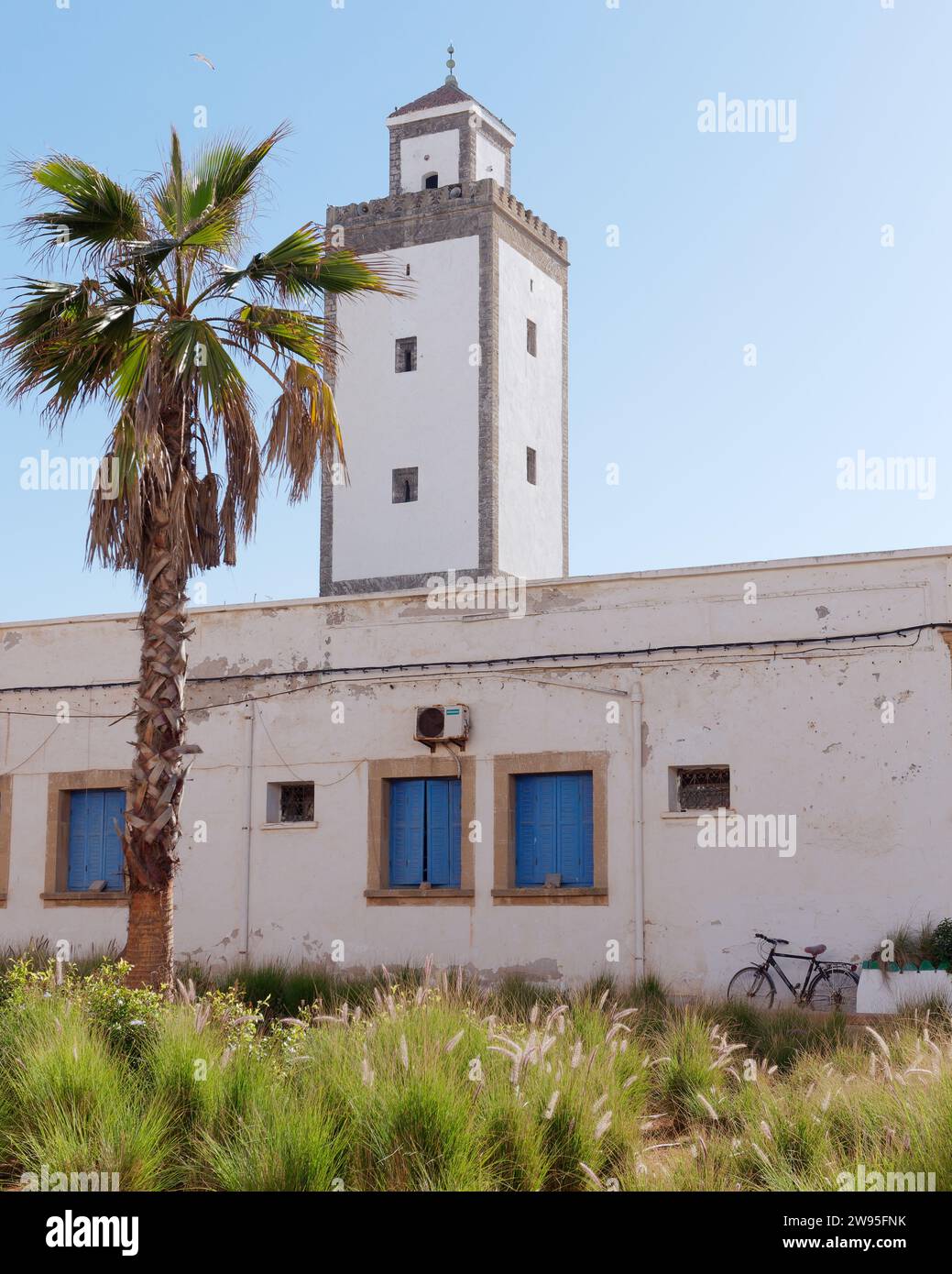 Torre e palma e edificio con persiane blu a finestra e bicicletta appoggiata su di essa nella medina di Essaouira, Marocco. 23 dicembre 2023 Foto Stock