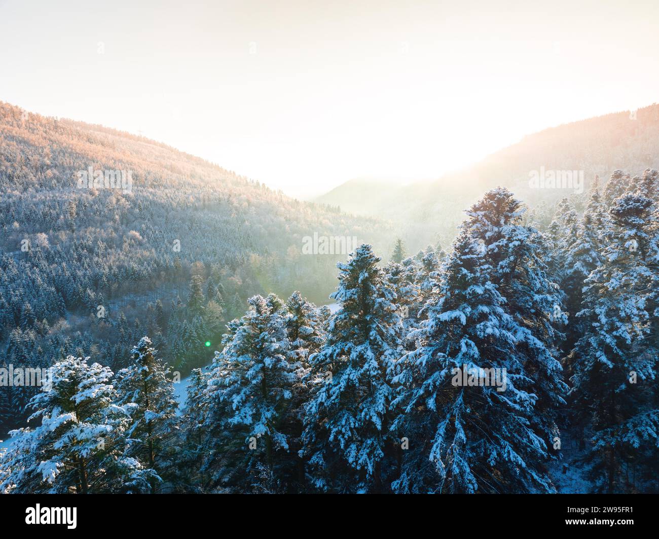 Il sole nascente bagna la foresta innevata e le montagne in una luce dorata, la Foresta Nera di Dobel, Germania Foto Stock