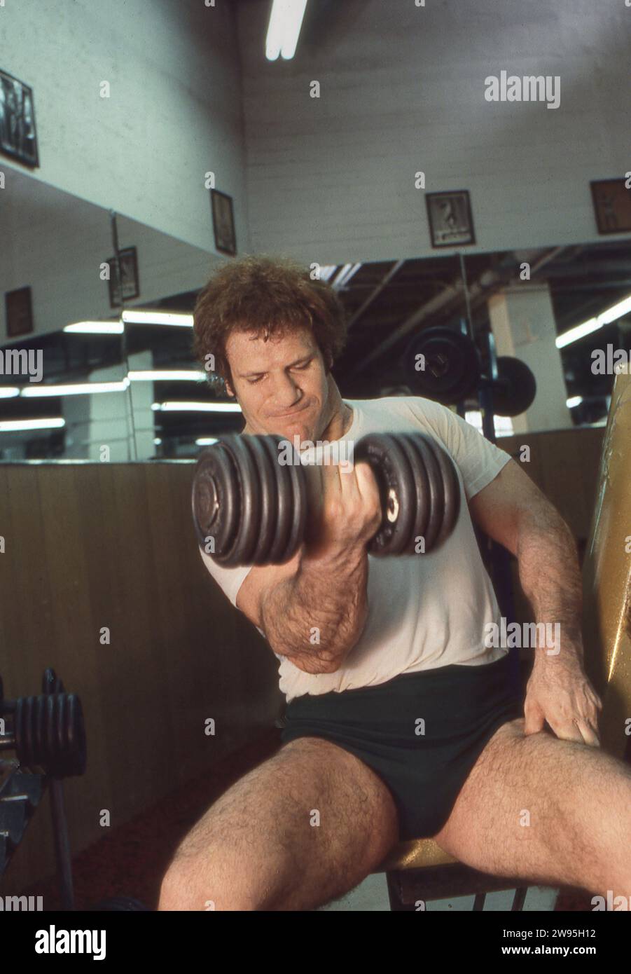 La leggenda della lotta Bruno Sammartino lavora con pesi pesanti al Mid City Health Club di Midtown, Manhattan, New York nella primavera del 1977 Foto Stock