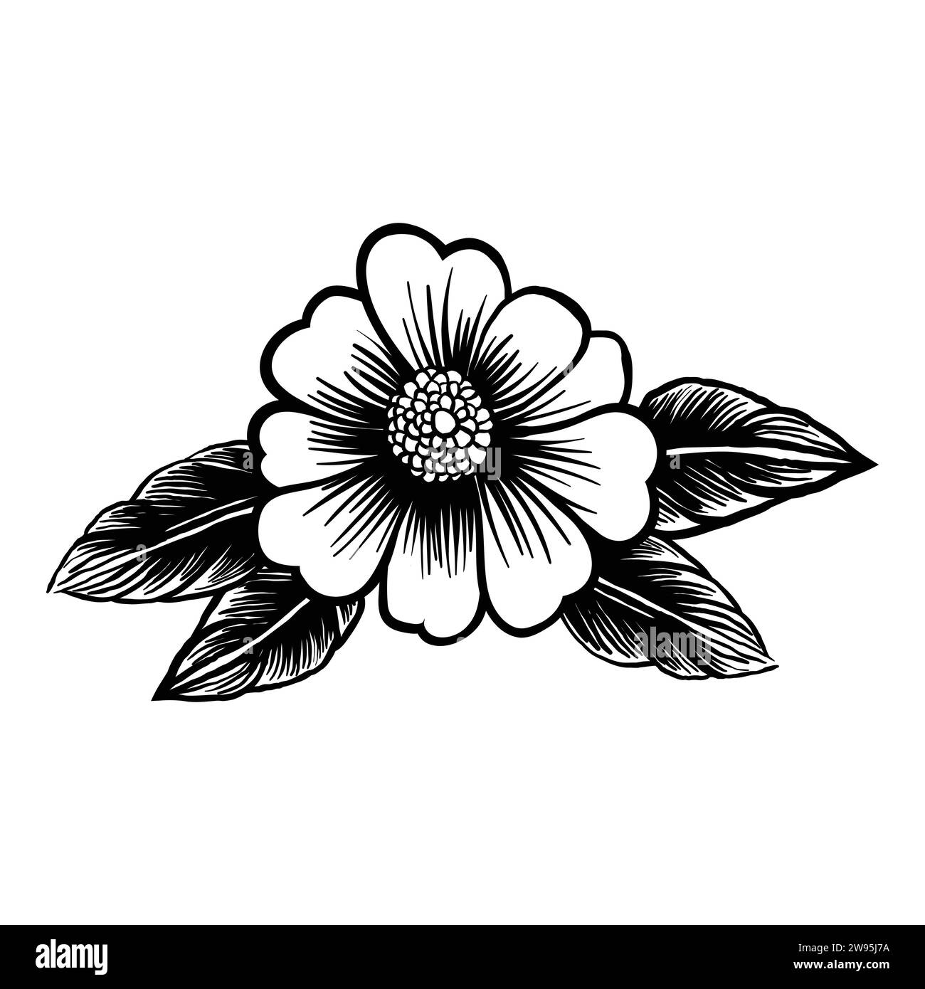 Elementi grafici floreali, stile doodle. Fiori e piante illustrazioni disegnate a mano Illustrazione Vettoriale
