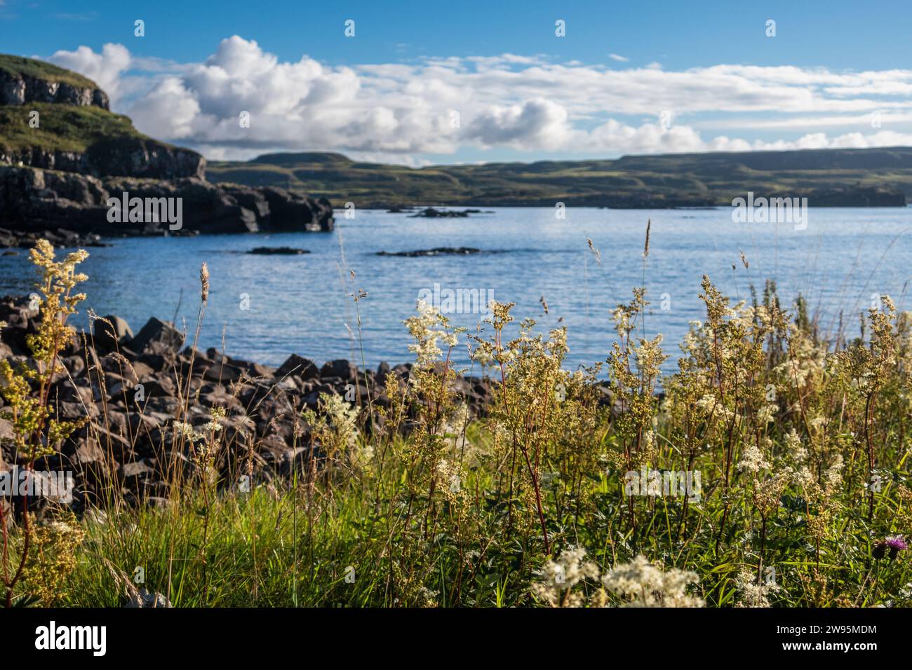 Glengorm, Isola di Mull, Ebridi interne, Scozia, Regno Unito Foto Stock