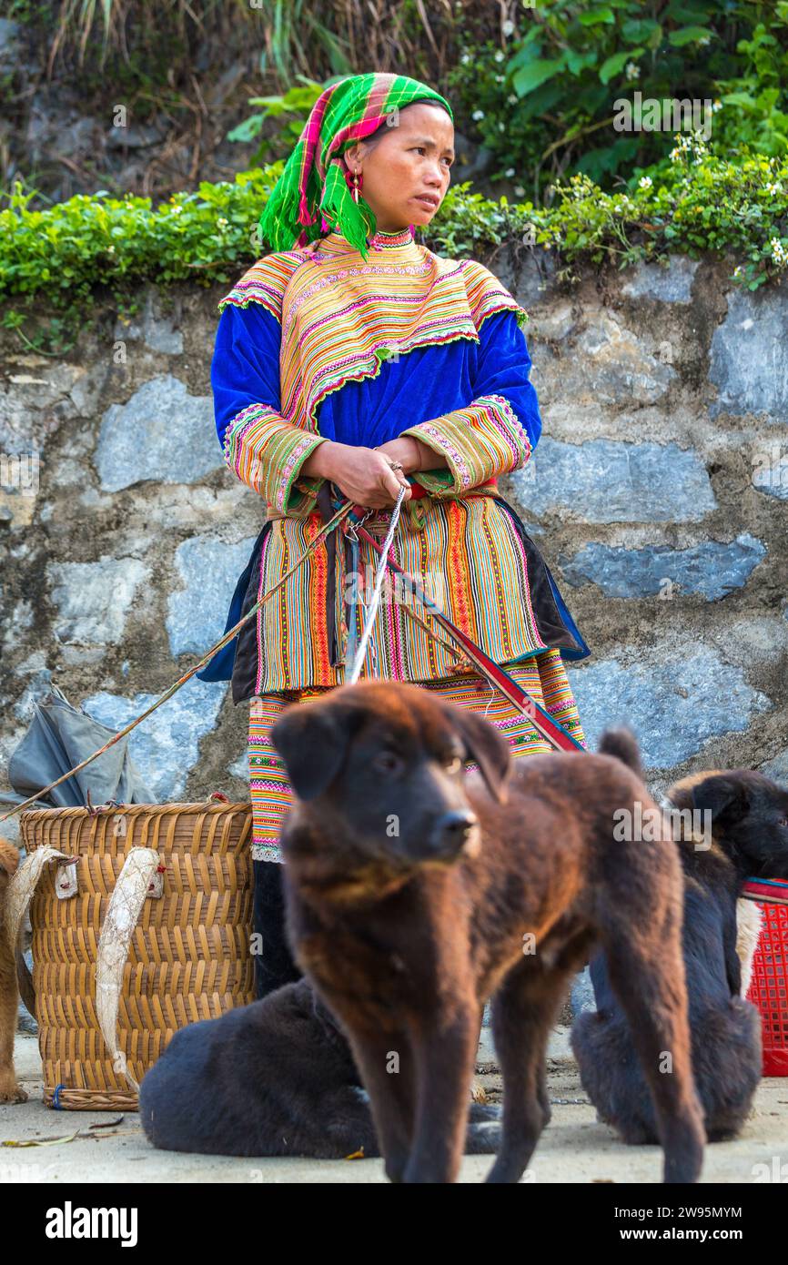 Fiore donna Hmong vendendo cani, mercato di domenica, Bac Ha, Vietnam Foto Stock