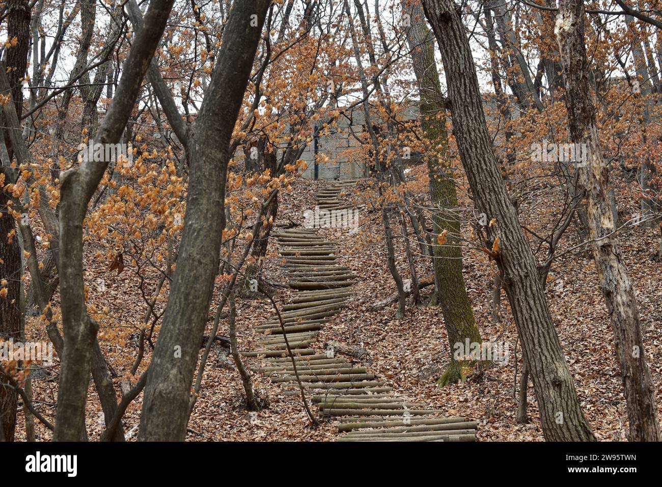 Un sentiero escursionistico con tronchi di legno come scale che salgono in salita nel Parco Nazionale di Bukhansan Foto Stock