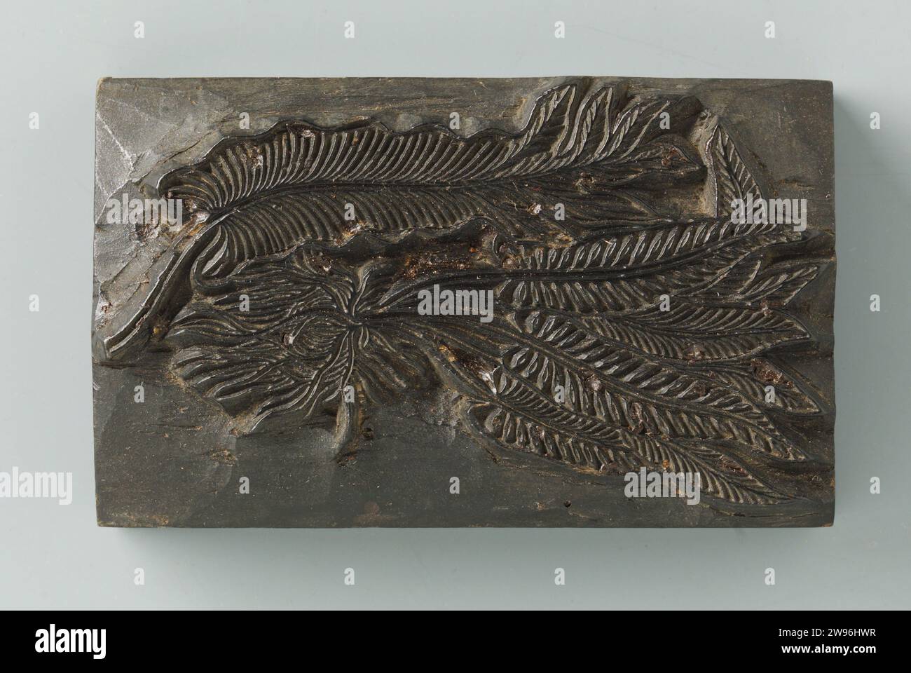 Pianta con carote e foglie a forma di lancetta, c. 1600 - c. 1699 legno (materiale vegetale) Foto Stock
