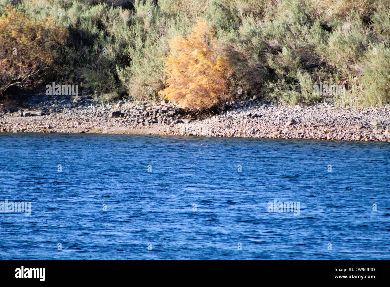 Colorado River, Bullhead City, Arizona e Laughlin, Nevada Foto Stock